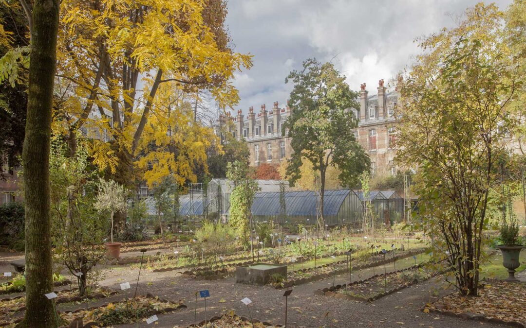 Jardin botanique de pharmacie