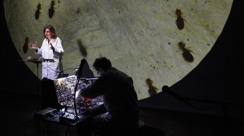 Macadam Animal │O. Rosenthal & E. Abecassis
