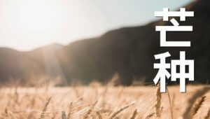 Grain en épi